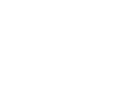 SkyMotive